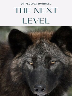 cover image of The Next Level
